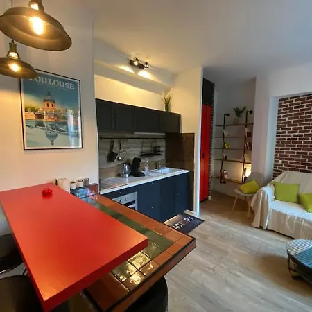 Le Nid D'orient Entre Matabiau Et Capitole Parking Апартаменты