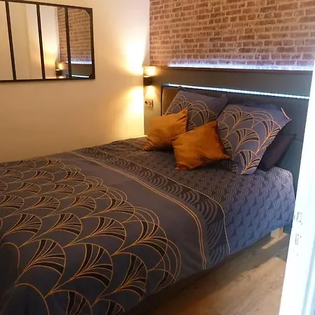 公寓 Le Nid D'orient Entre Matabiau Et Capitole Parking 圖盧茲