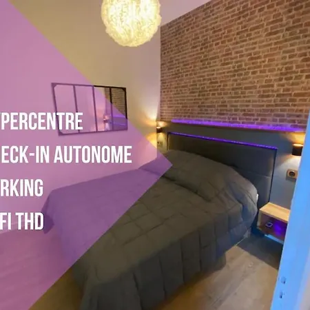 Le Nid D'orient Entre Matabiau Et Capitole Parking * トゥールーズ