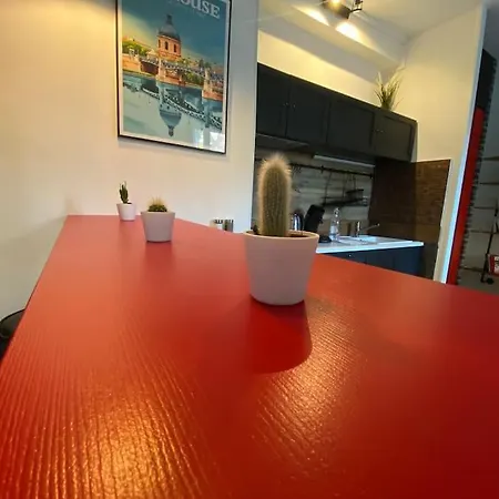 アパート Le Nid D'orient Entre Matabiau Et Capitole Parking トゥールーズ